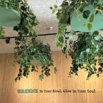 סטודיו 180 תמונות GREENZ - תקרה - עיצוב בית קפה