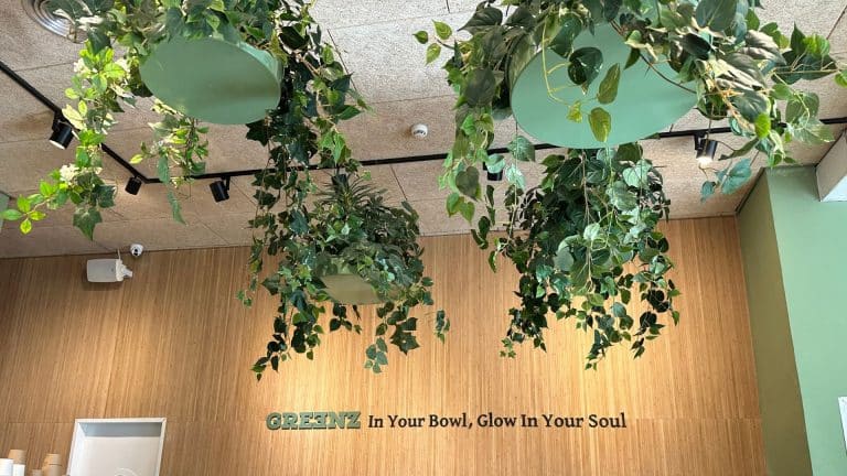 סטודיו 180 תמונות GREENZ - תקרה - עיצוב בית קפה